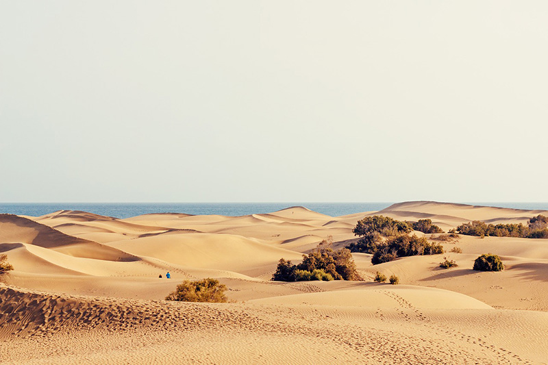 Dunas - Lopesan Baobab Resort Gran Canaria